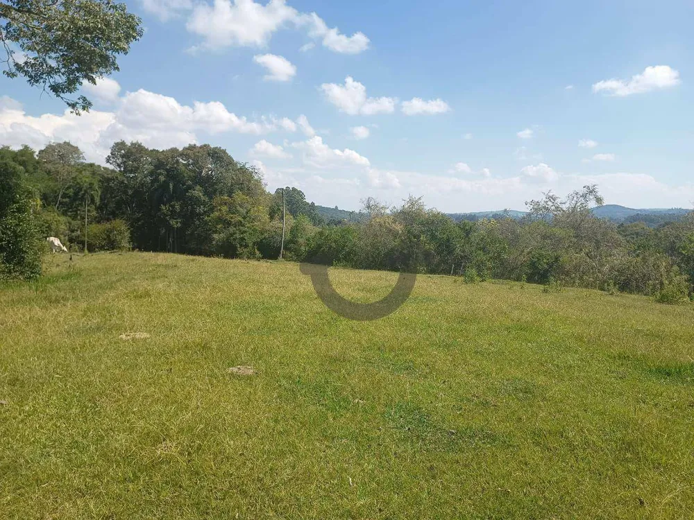 Terreno, 9 hectares - Foto 4