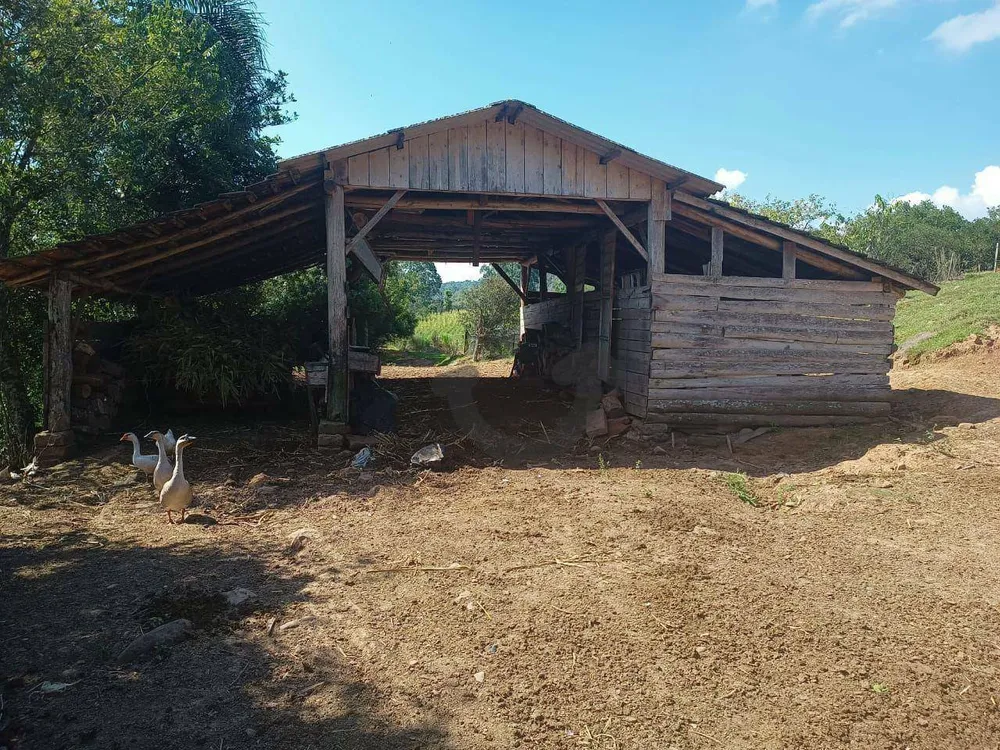 Terreno, 9 hectares - Foto 3