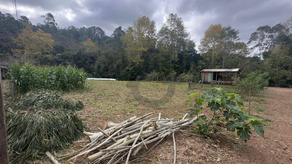 Chácara, 2 quartos, 5000 m² - Foto 11
