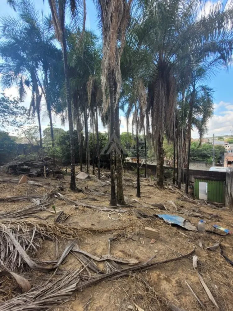 Terreno, 1000 m² - Foto 6