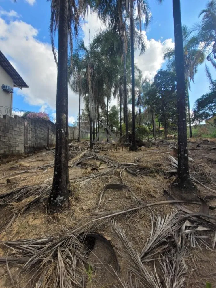 Terreno, 1000 m² - Foto 10