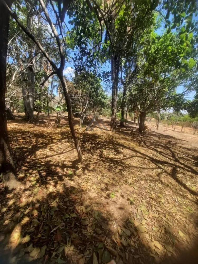 Chácara, 5000 m² - Foto 5