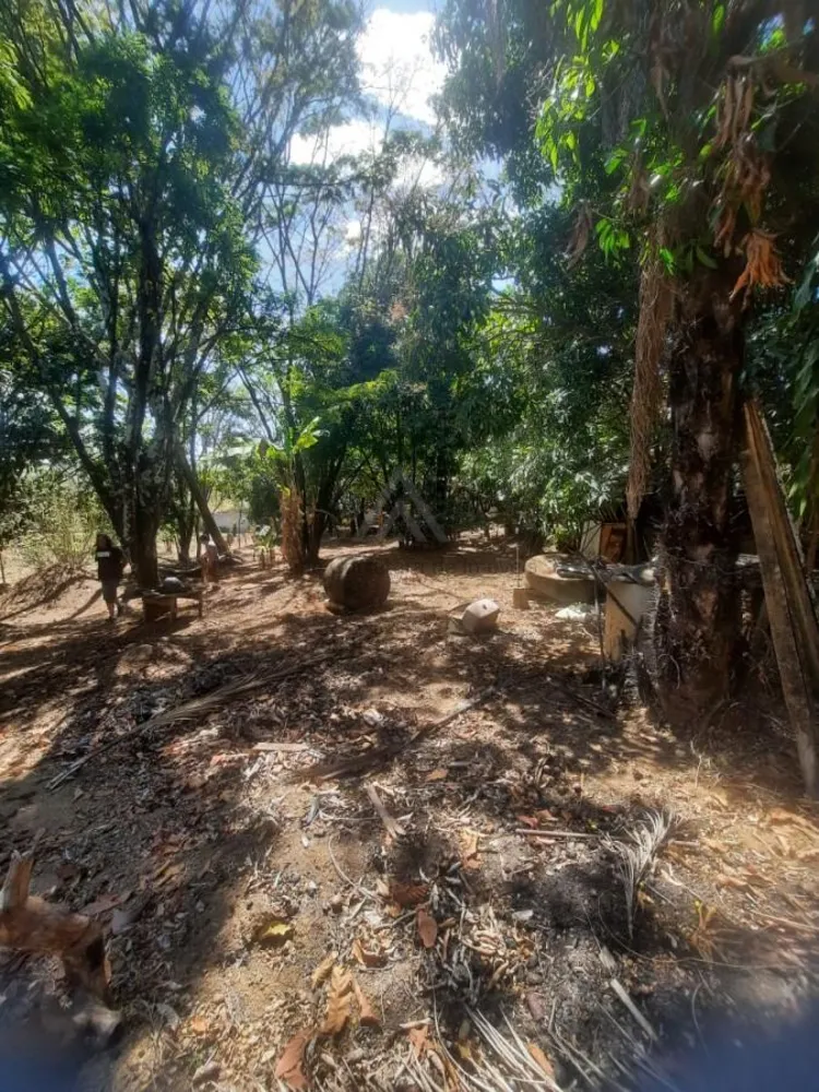 Chácara, 5000 m² - Foto 9