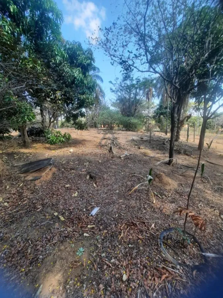 Chácara, 5000 m² - Foto 4