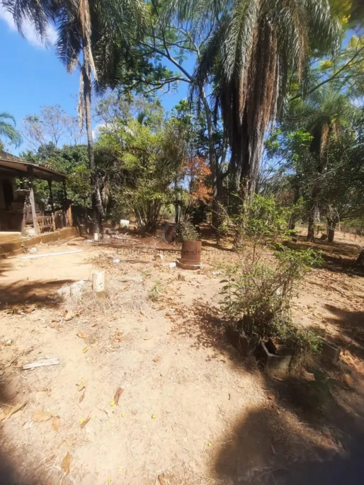 Chácara, 5000 m² - Foto 10
