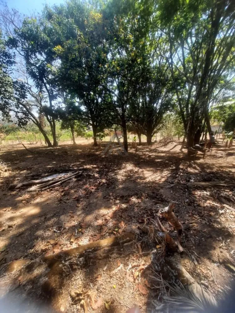 Chácara, 5000 m² - Foto 11