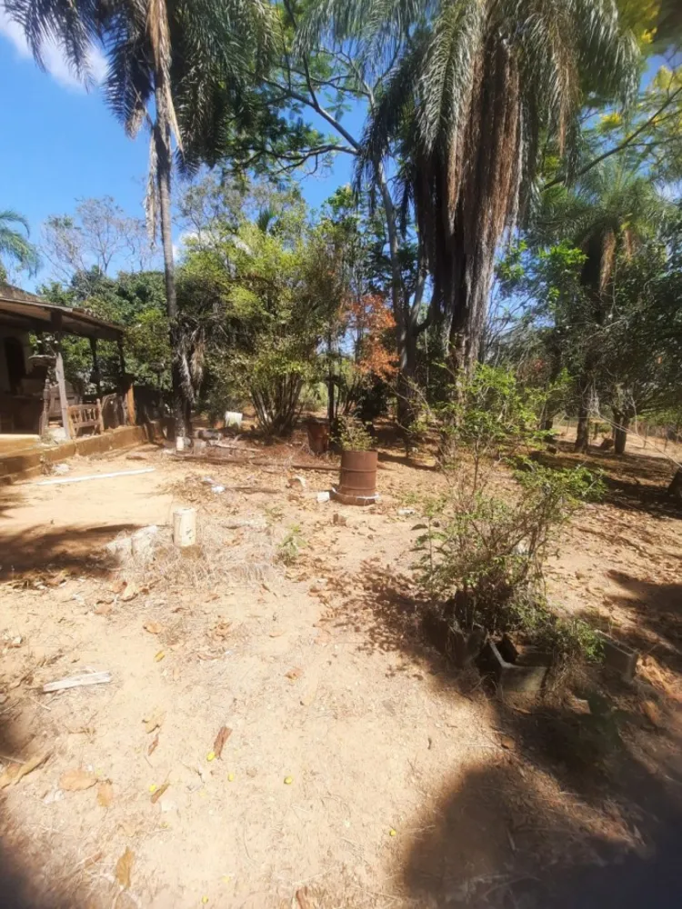 Chácara, 5000 m² - Foto 6