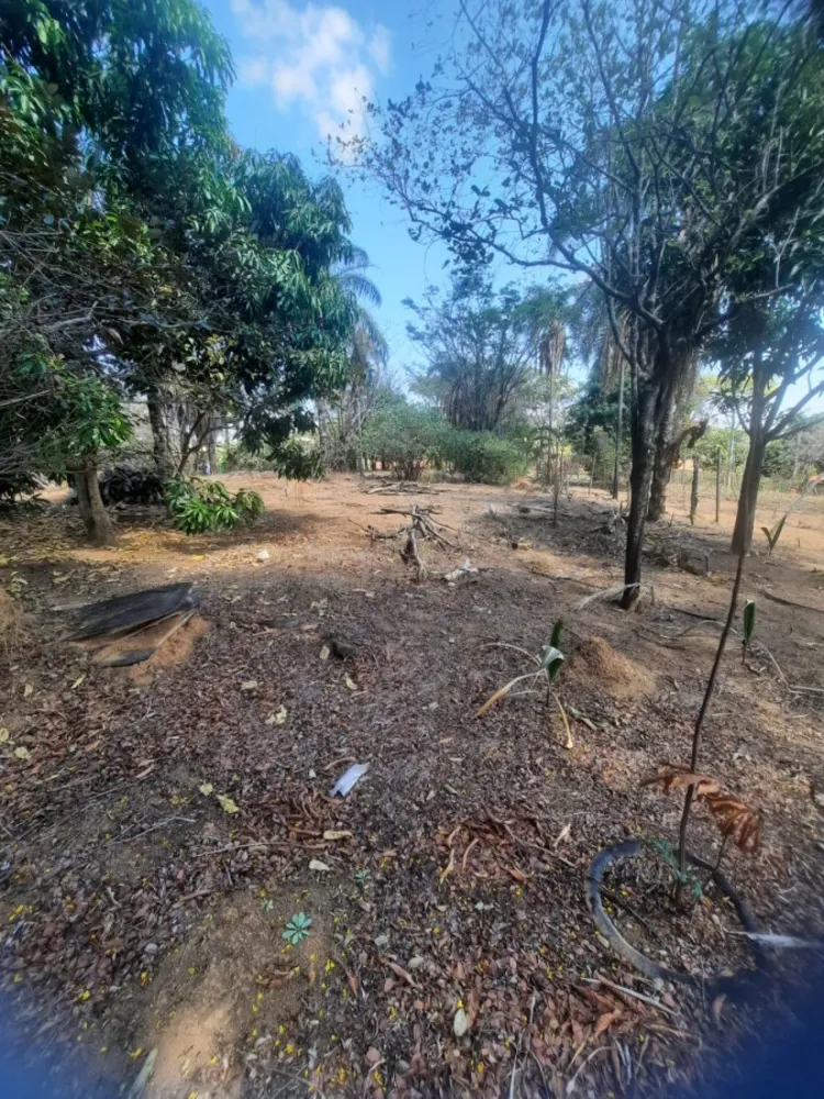 Chácara, 5000 m² - Foto 3