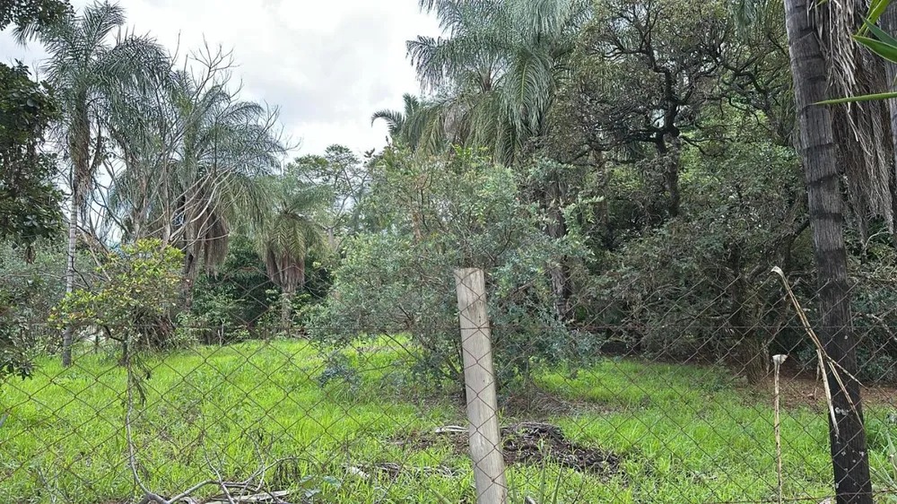 Chácara, 5000 m² - Foto 8