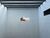 Sala-Conjunto, 60 m² - Foto 6