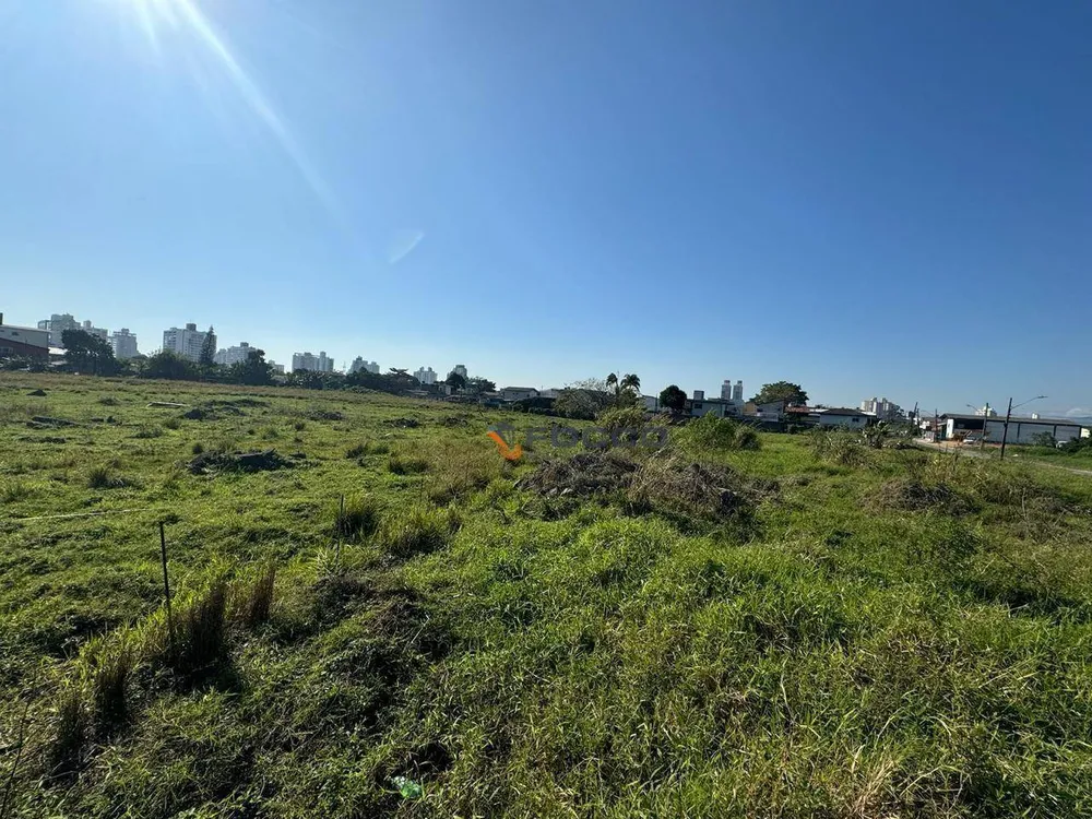 Terreno, 3 hectares - Foto 3