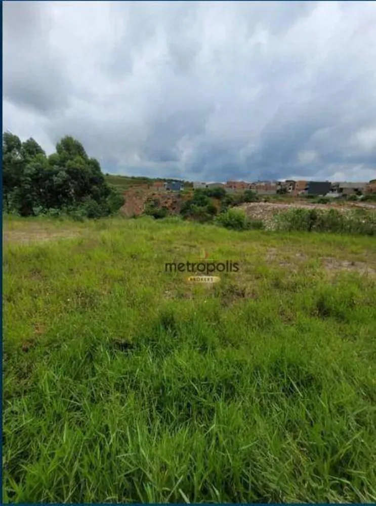 Terreno, 4445 m² - Foto 8