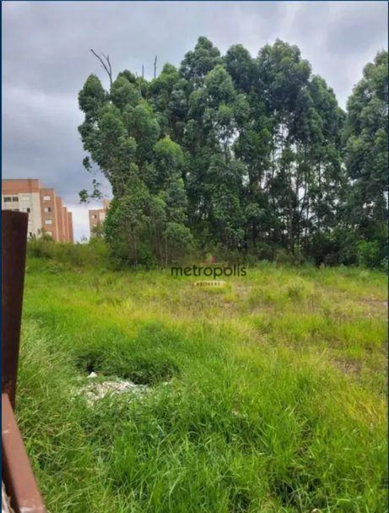 Terreno, 4445 m² - Foto 9