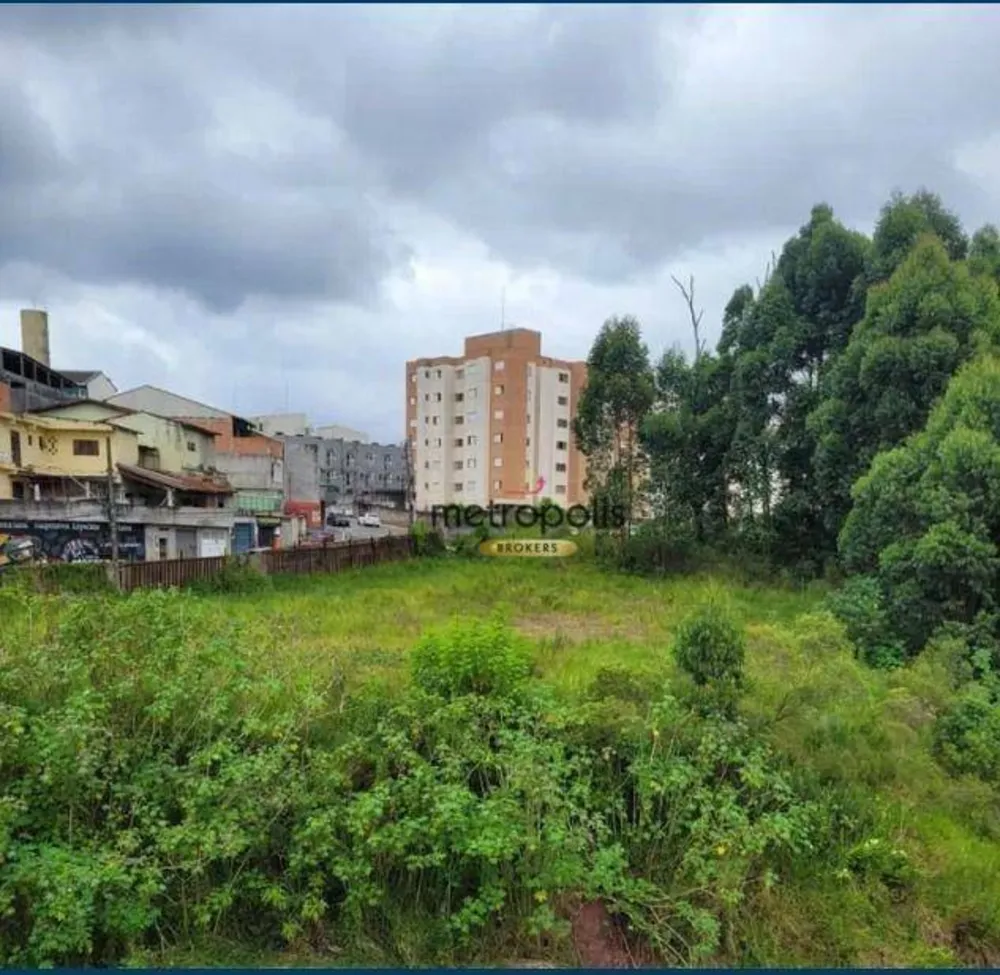 Terreno, 4445 m² - Foto 7