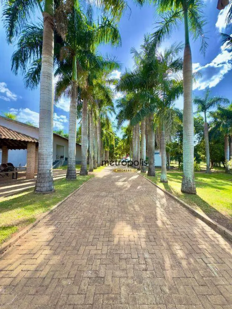 Chácara, 3 quartos, 5000 m² - Foto 3