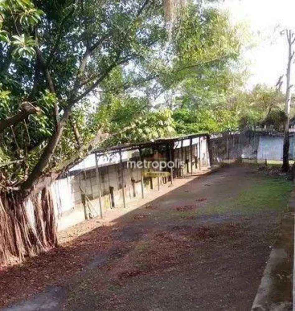 Depósito-Galpão, 4000 m² - Foto 2