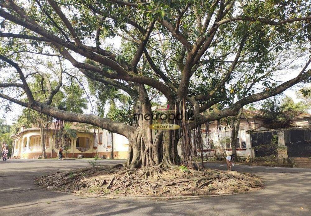 Depósito-Galpão, 500 m² - Foto 3