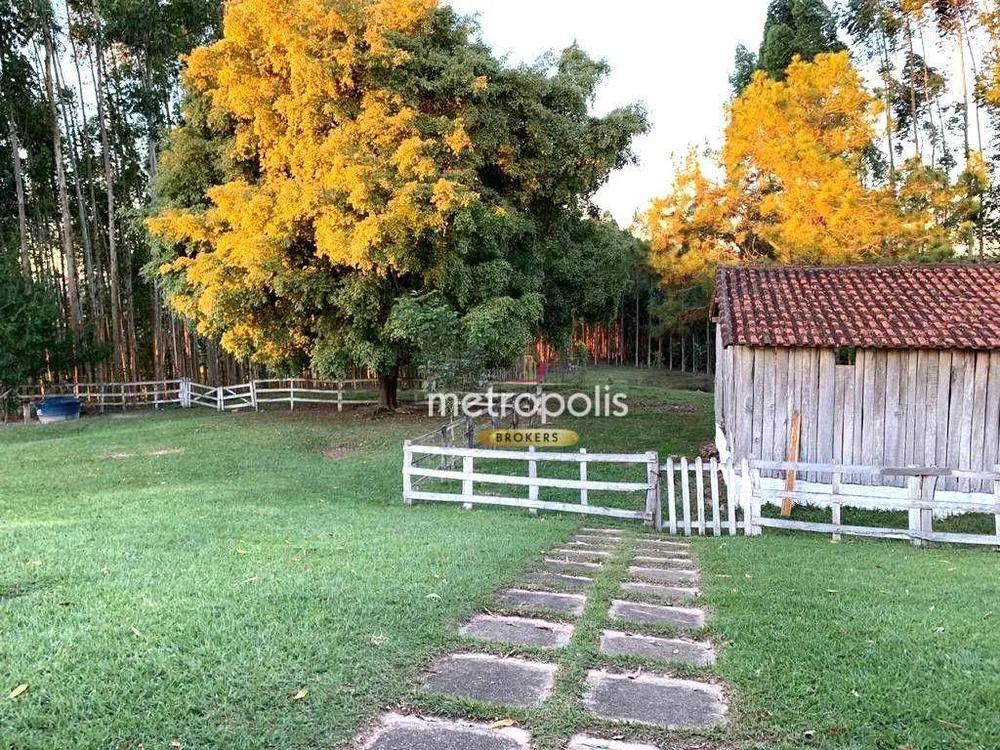 Sítio, 5 quartos, 6000 m² - Foto 8