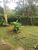Sobrado, 3 quartos, 132 m² - Foto 8
