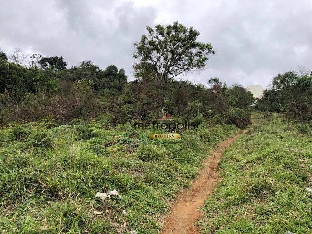 Terreno, 4 hectares - Foto 10