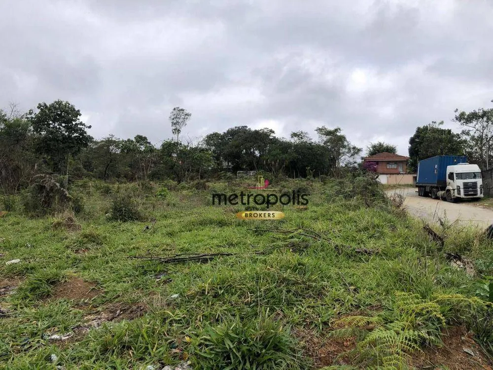 Terreno, 4 hectares - Foto 7