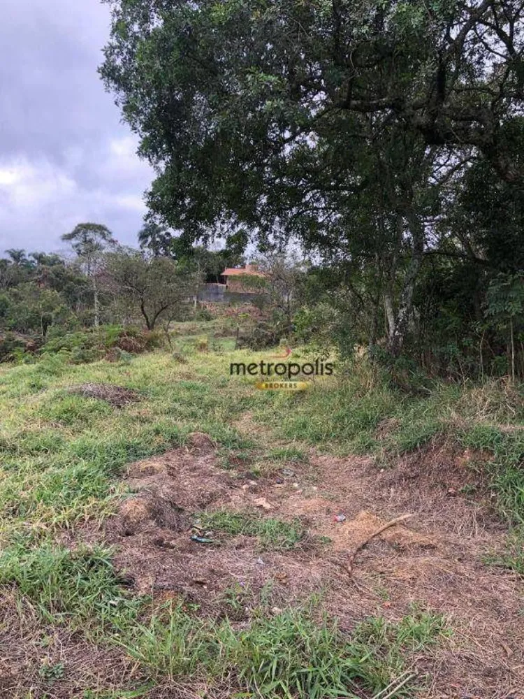 Terreno, 4 hectares - Foto 11
