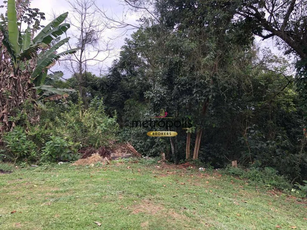 Terreno, 4 hectares - Foto 12