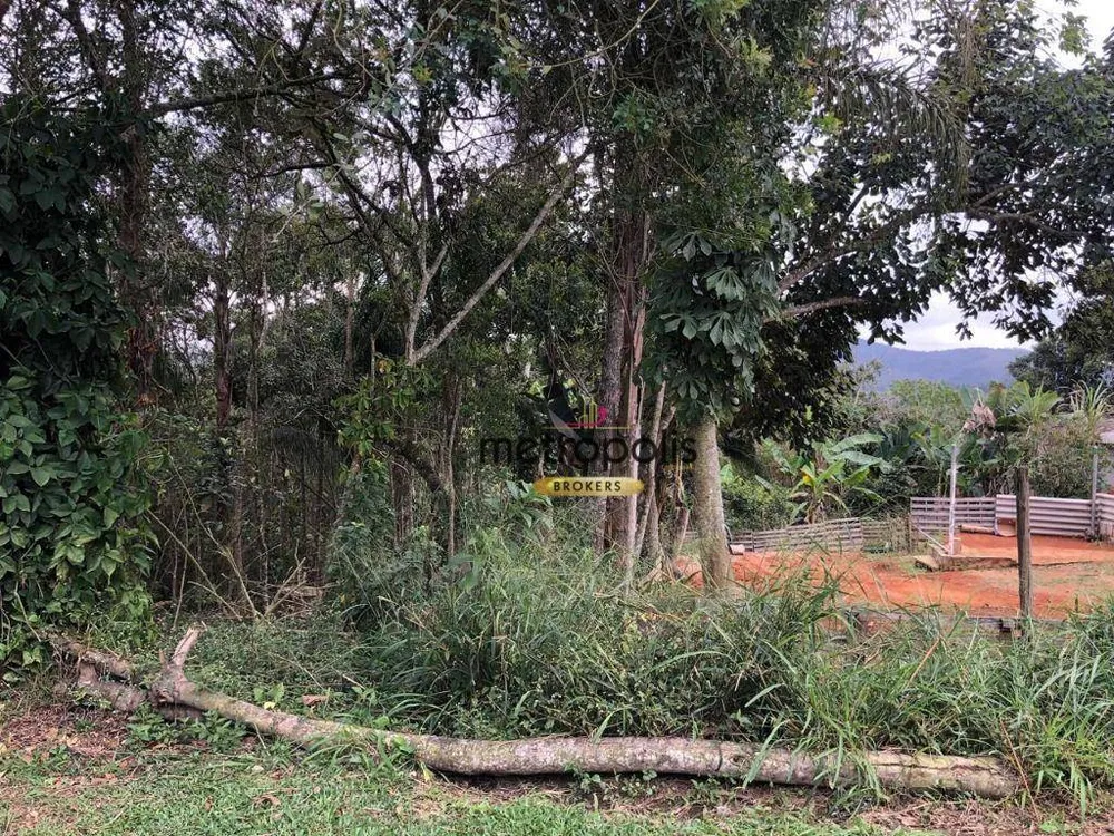 Terreno, 4 hectares - Foto 1