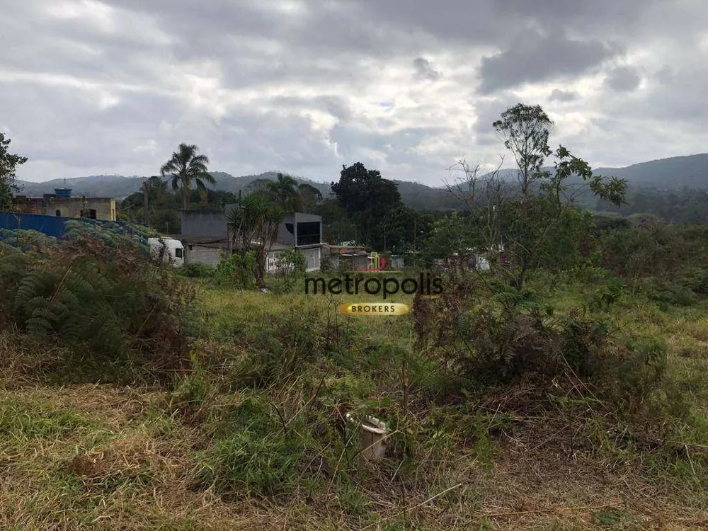 Terreno, 4 hectares - Foto 3