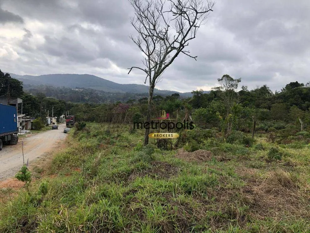 Terreno, 4 hectares - Foto 6