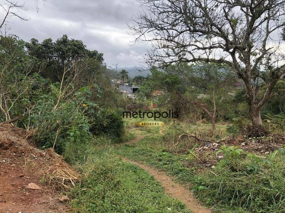 Terreno, 4 hectares - Foto 4