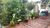 Terreno, 400 m² - Foto 2