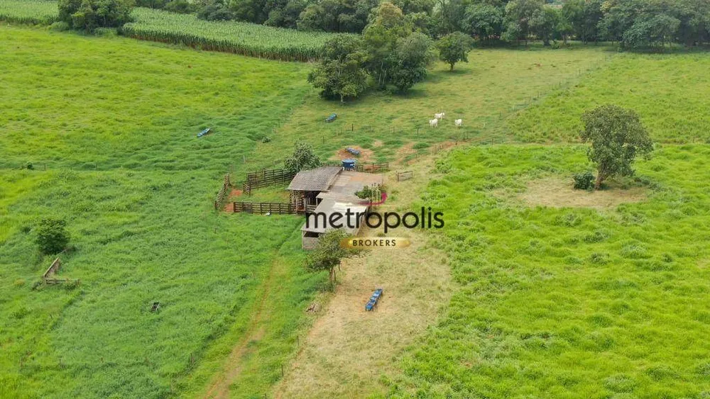 Fazenda, 12 hectares - Foto 3