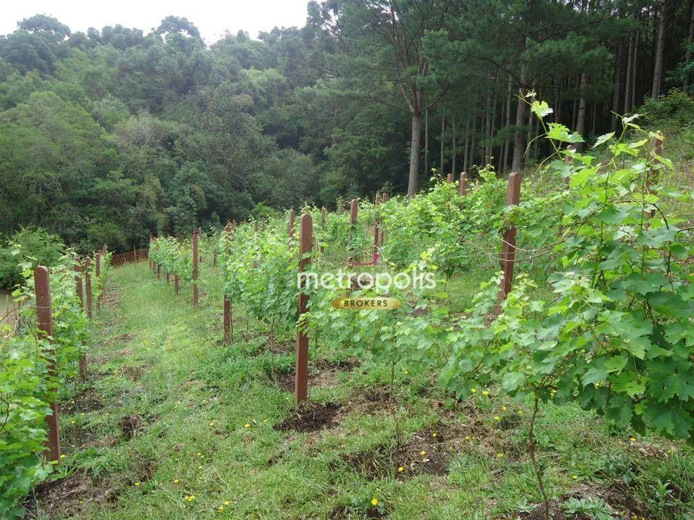 Pousada-Chalé, 30 quartos, 1600 m² - Foto 12