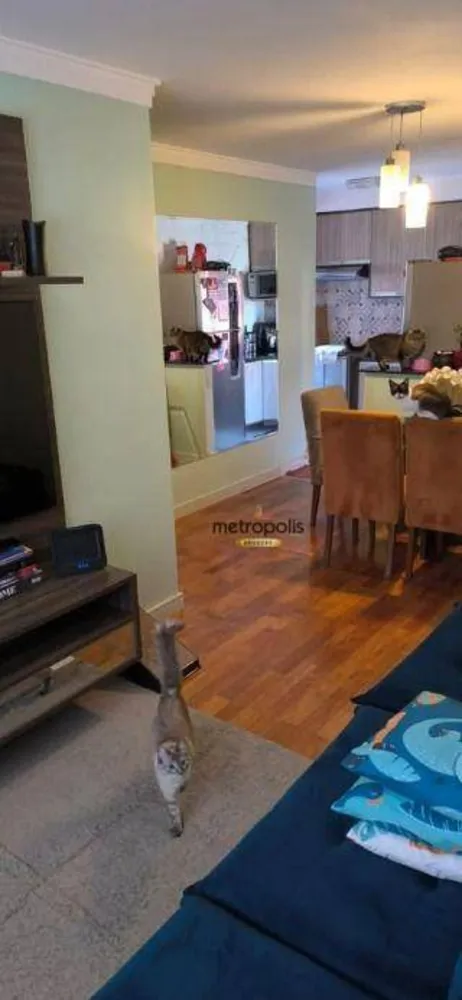 Apartamento, 3 quartos, 64 m² - Foto 3