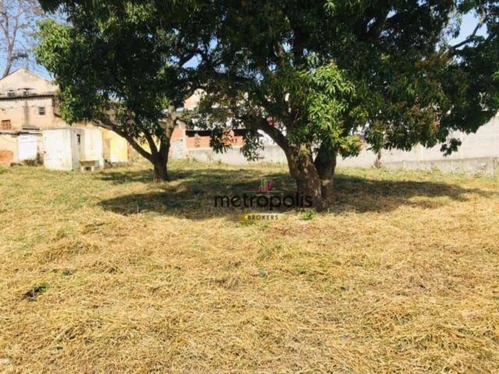 Terreno, 2276 m² - Foto 7