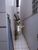 Sobrado, 3 quartos, 150 m² - Foto 4