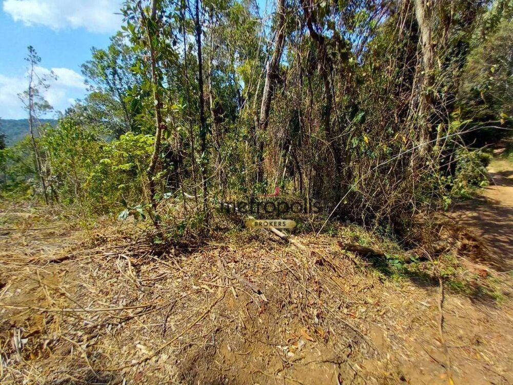 Terreno, 250 m² - Foto 3