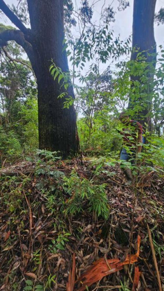 Terreno, 250 m² - Foto 4