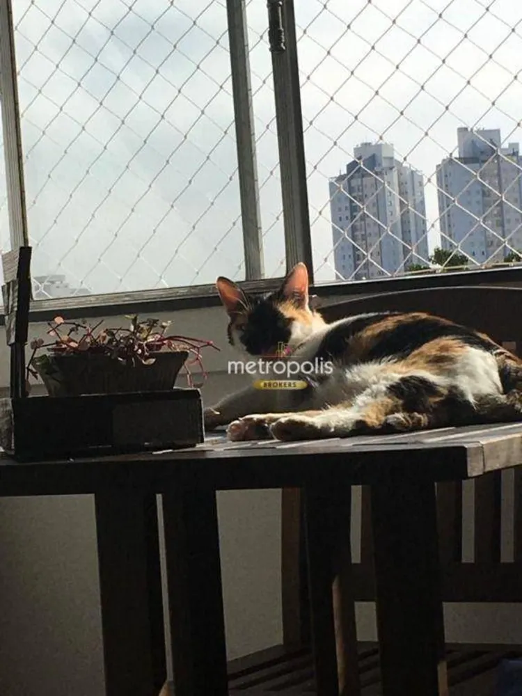 Apartamento, 2 quartos, 76 m² - Foto 4