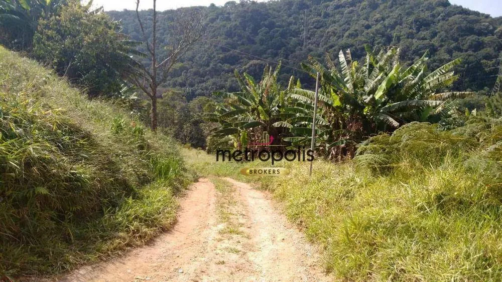 Terreno, 3 hectares - Foto 2
