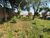 Terreno, 800 m² - Foto 3