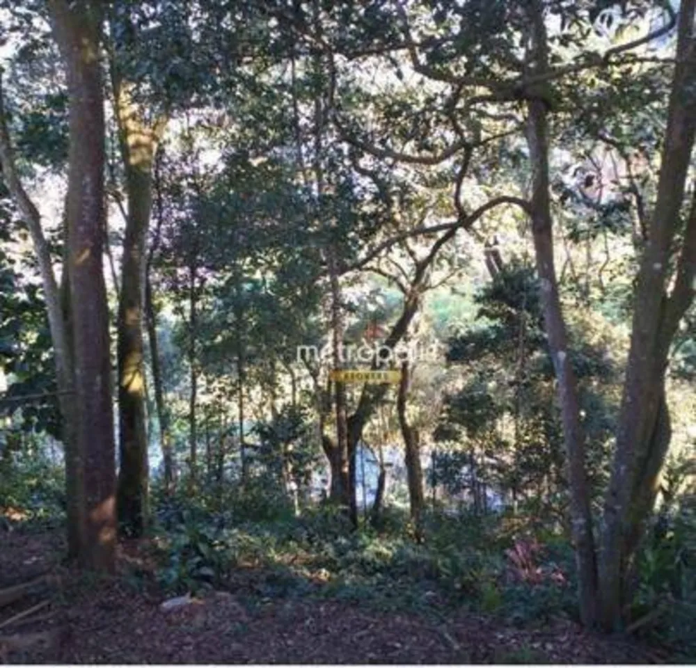 Terreno, 8338 m² - Foto 4