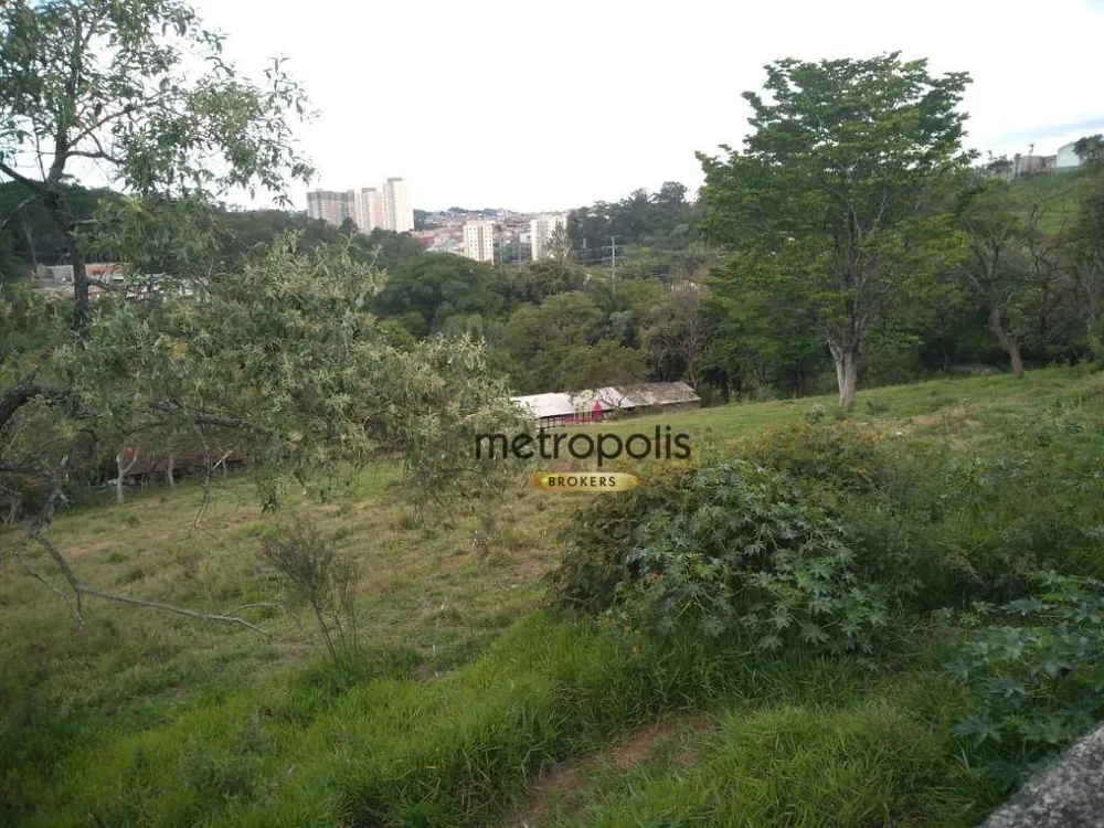 Terreno, 3 hectares - Foto 8
