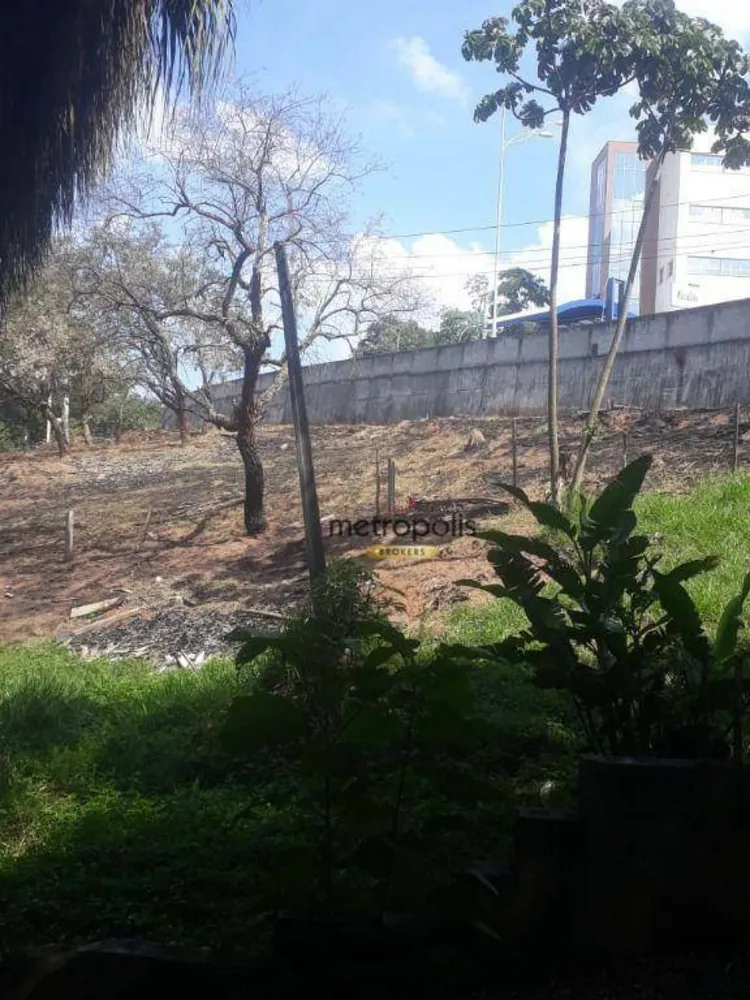 Terreno, 3 hectares - Foto 6
