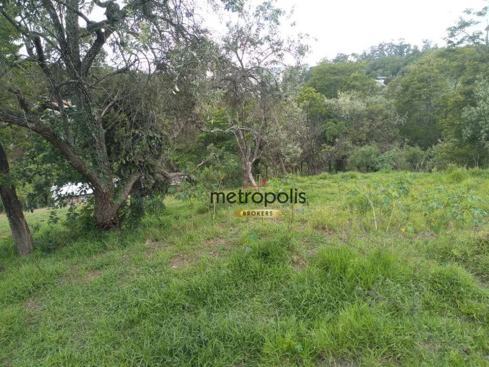 Terreno, 3 hectares - Foto 10