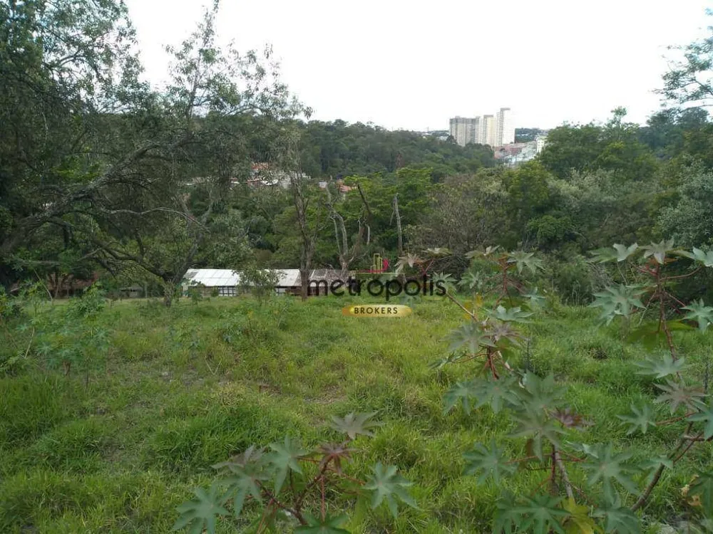 Terreno, 3 hectares - Foto 12