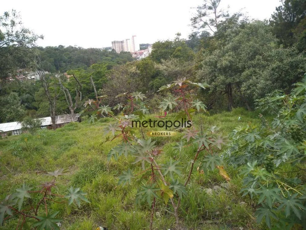 Terreno, 3 hectares - Foto 11