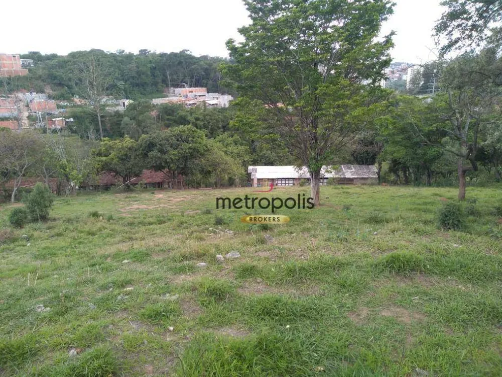 Terreno, 3 hectares - Foto 9
