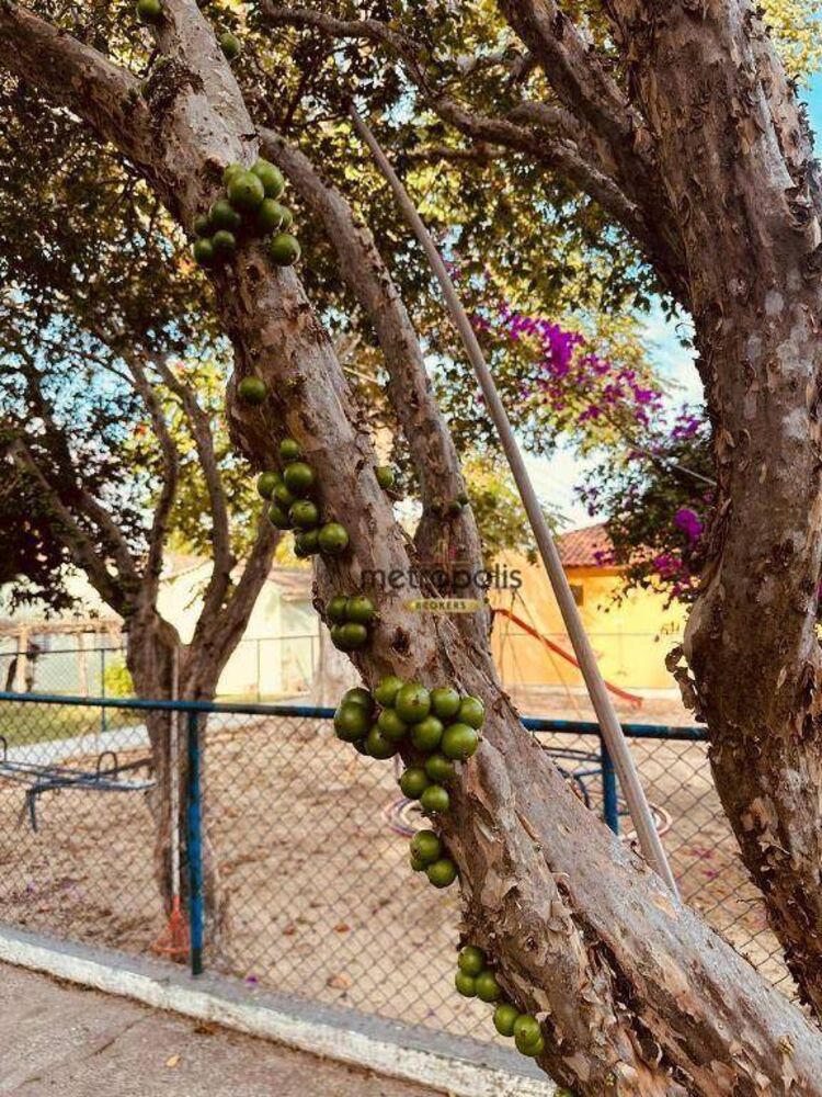 Chácara, 6 quartos, 5000 m² - Foto 3